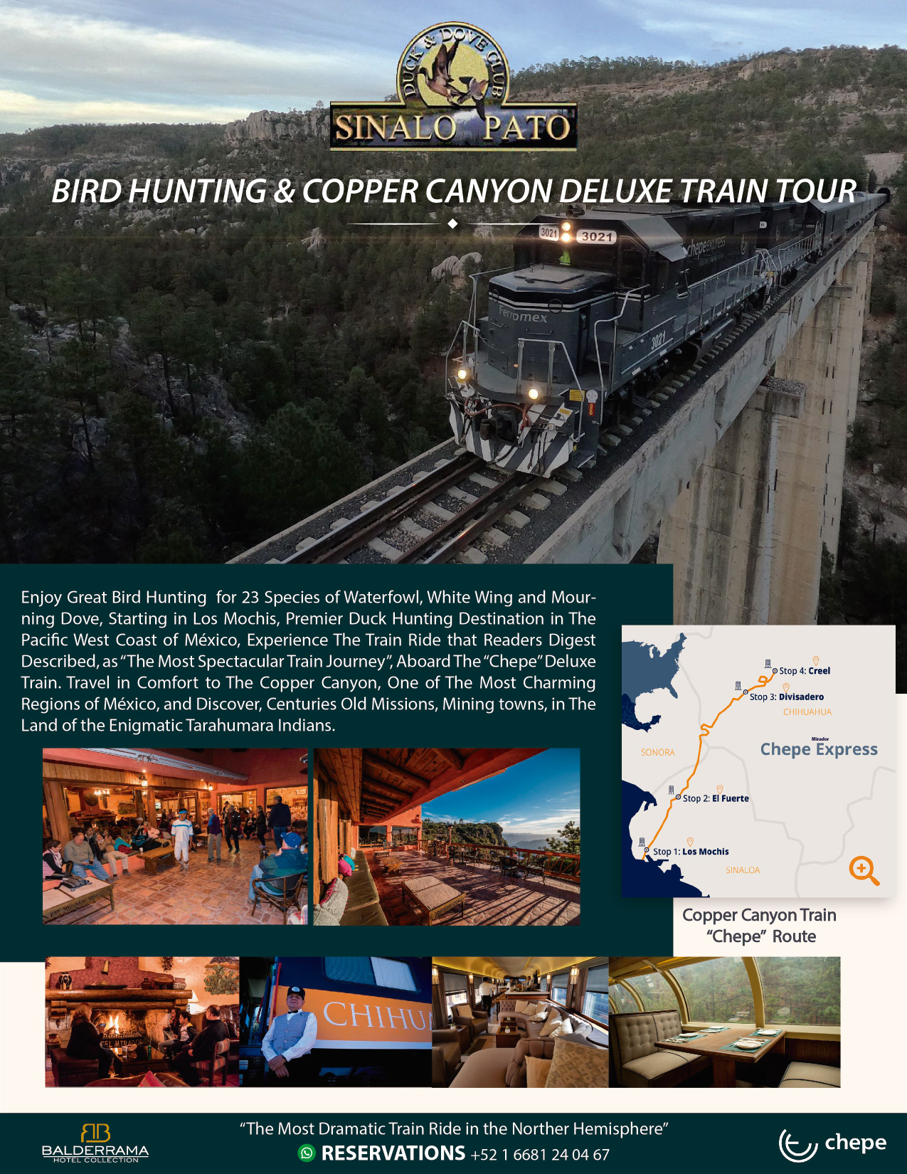 BIRD HUNTING & COPPER CANYON DELUXE TRAIN TOUR
